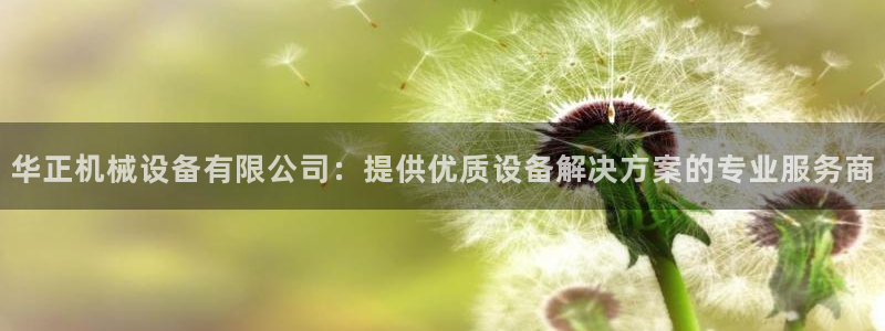 杏盛平台代理：华正机械设备有限公司：提供优质设备解决方案的专业服务商