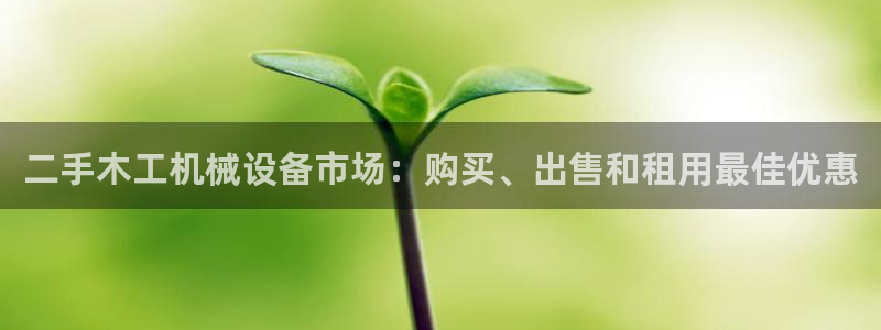 杏盛平台主管：二手木工机械设备市场：购买、出售和租用最佳优惠