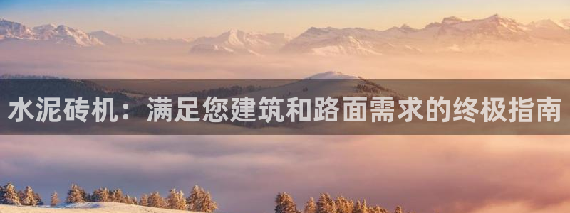 杏盛平台官网注册登录：水泥砖机：满足您建筑和路面需求的终极指南