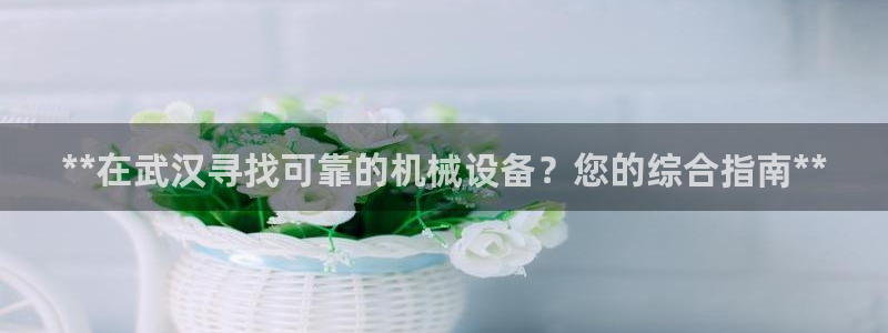 杏盛平台官网注册登录：**在武汉寻找可靠的机械设备？您的综合指南**