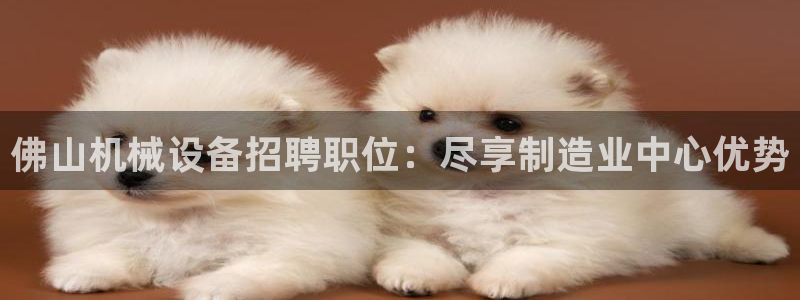 杏盛平台登陆：佛山机械设备招聘职位：尽享制造业中心优势