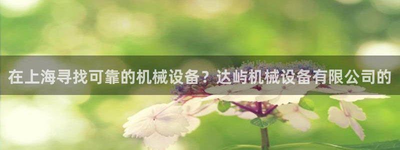 杏盛娱乐代理：在上海寻找可靠的机械设备？达屿机械设备有限公司的