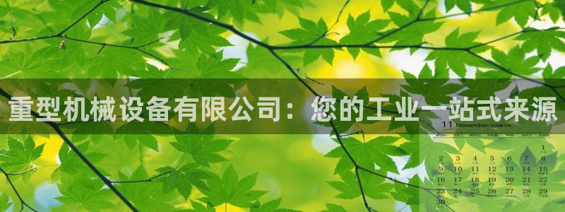 杏盛平台：重型机械设备有限公司：您的工业一站式来源