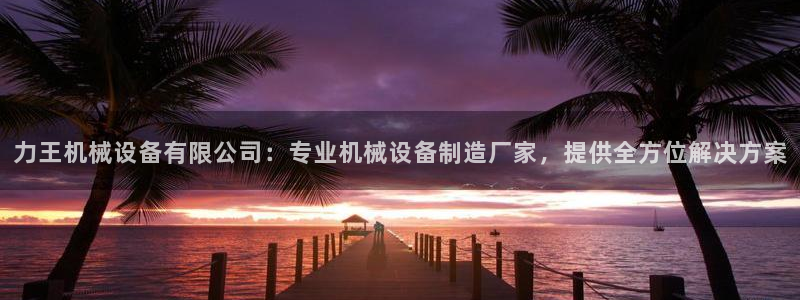 杏盛平台主管：力王机械设备有限公司：专业机械设备制造厂家，提供全方位解决方案