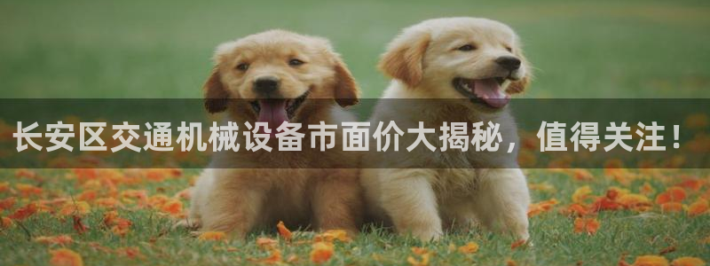 杏盛平台官网注册登录：长安区交通机械设备市面价大揭秘，值得关注！
