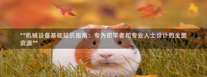 杏盛平台官网：**机械设备基础知识指南：专为初学者和专业人士设计的全面
资源**