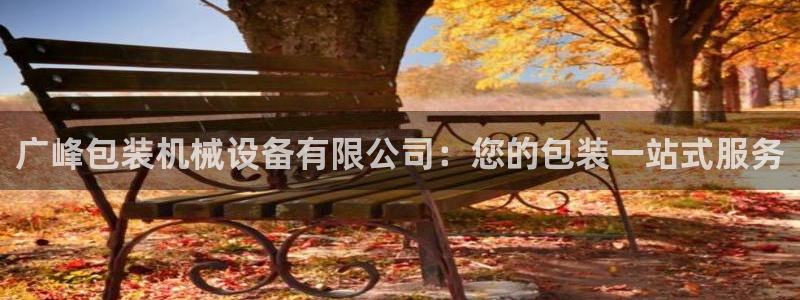 杏盛官方平台：广峰包装机械设备有限公司：您的包装一站式服务