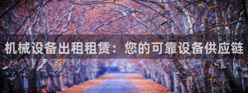 杏盛平台：机械设备出租租赁：您的可靠设备供应链