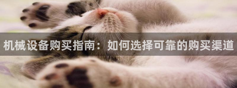 杏盛平台开户 贴吧：机械设备购买指南：如何选择可靠的购买渠道