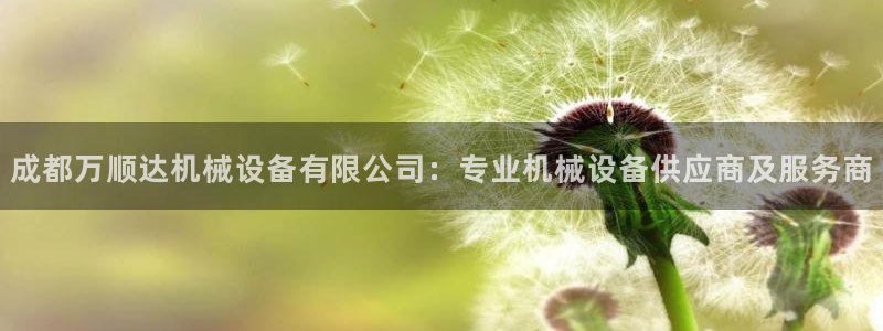 杏盛平台登录地址：成都万顺达机械设备有限