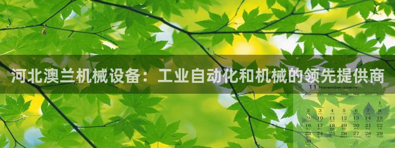杏盛东24 35 53：河北澳兰机械设备：工业自动化和机械的领先提供商