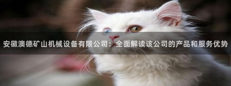 杏盛平台官网注册：安徽澳德矿山机械设备有限公司：全面解读该公司的产品和服务优势