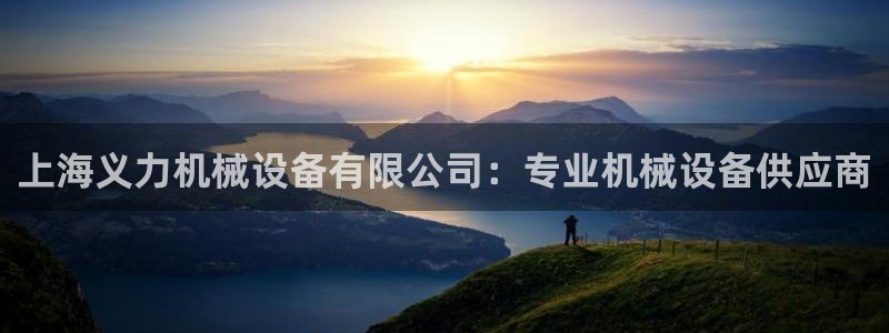 杏盛平台代理注册：上海义力机械设备有限公