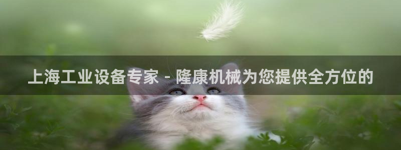 杏盛官网登录：上海工业设备专家 - 隆康机械为您提供全方位的