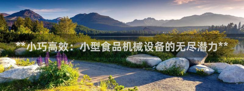 杏盛代理：**小巧高效：小型食品机械设备的无尽潜力**