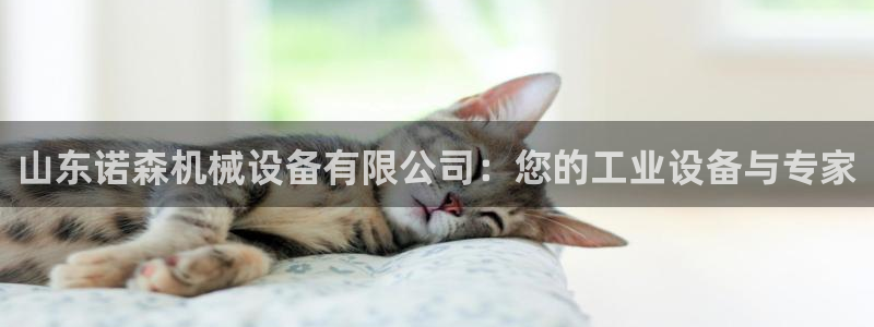 杏盛主管：山东诺森机械设备有限公司：您的工业设备与专家