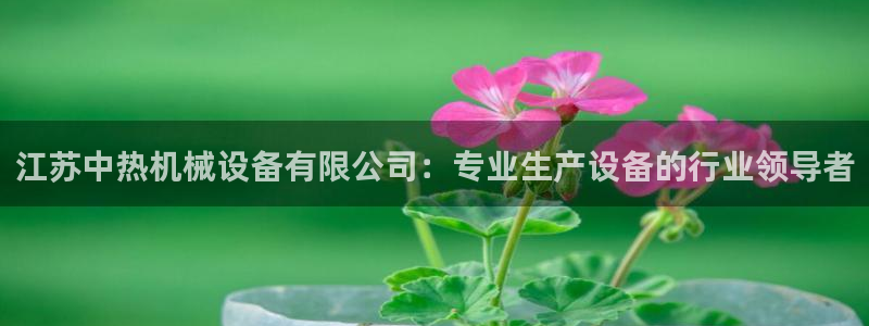 杏盛平台上级：江苏中热机械设备有限公司：专业生产设备的行业领导者