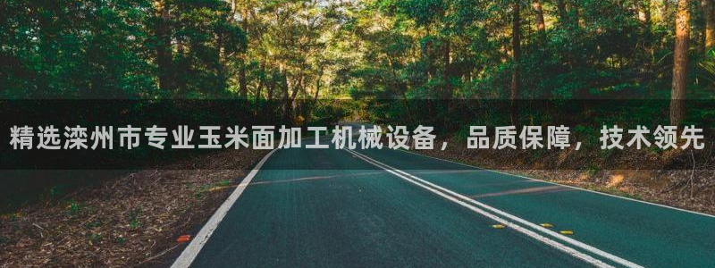 杏盛平台注册：精选滦州市专业玉米面加工机