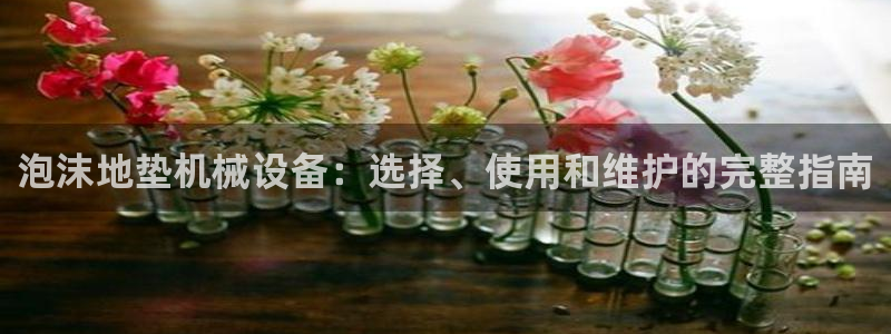 杏盛平台登录：泡沫地垫机械设备：选择、使用和维护的完整指南