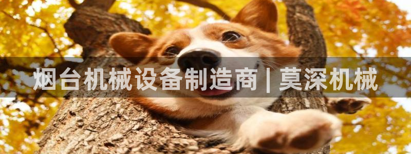 杏盛官网登录：烟台机械设备制造商 | 莫深机械