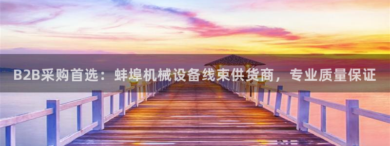杏盛平台注册登录：B2B采购首选：蚌埠机械设备线束供货商，专业质量保证