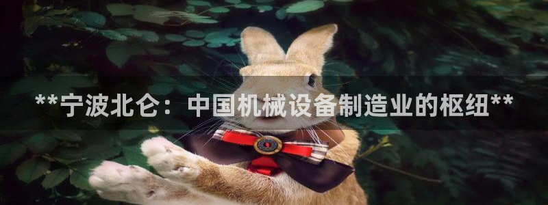 杏盛平台官网注册：**宁波北仑：中国机械设备制造业的枢纽**