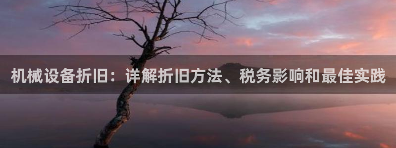 杏盛主管：机械设备折旧：详解折旧方法、税务影响和最佳实践
