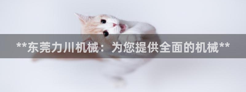 杏盛平台：**东莞力川机械：为您提供全面