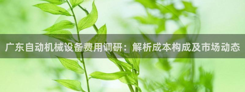 杏盛app下载：广东自动机械设备费用调研：解析成本构成及市场动态