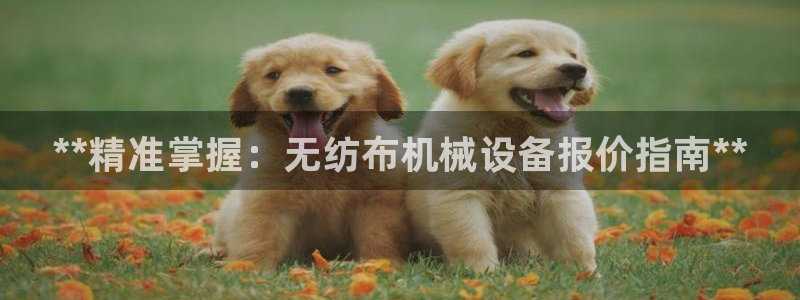 杏盛官方平台：**精准掌握：无纺布机械设