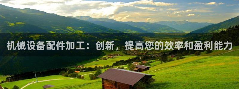 杏盛娱乐代理：机械设备配件加工：创新，提