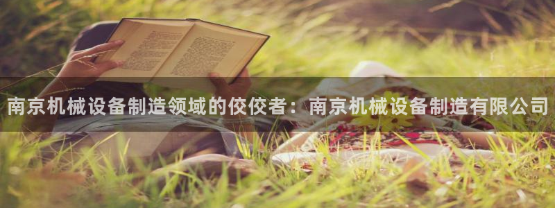 杏盛平台主管：南京机械设备制造领域的佼佼