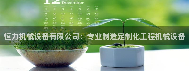 杏盛平台官网注册：恒力机械设备有限公司：专业制造定制化工程机械设备