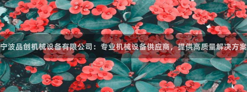 杏盛主管：宁波品创机械设备有限公司：专业