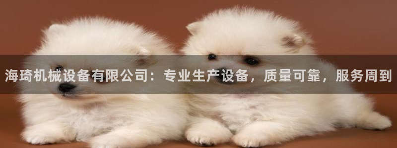 杏盛平台上级：海琦机械设备有限公司：专业