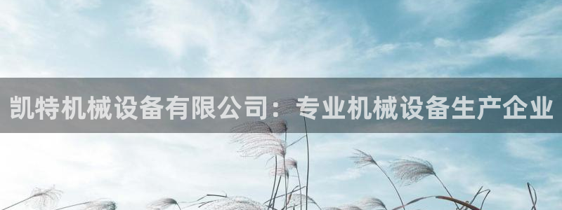 杏盛乐岳35994誓：凯特机械设备有限公