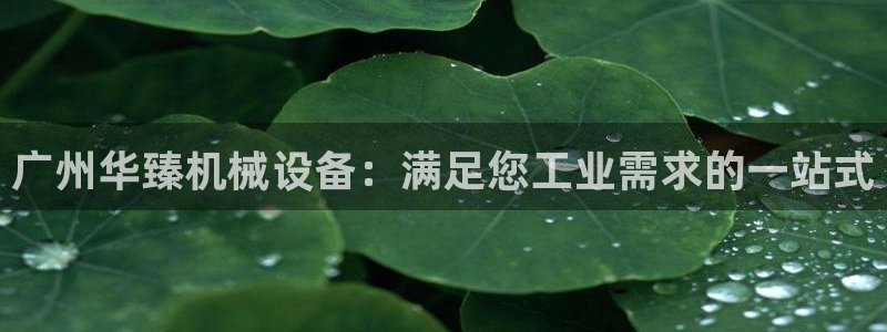 杏盛平台官网：广州华臻机械设备：满足您工