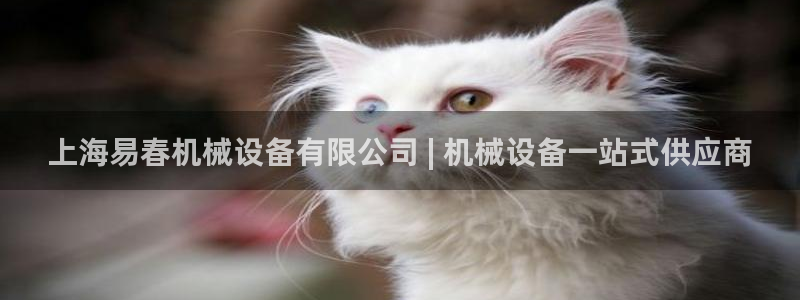 杏盛东24 35 53：上海易春机械设备